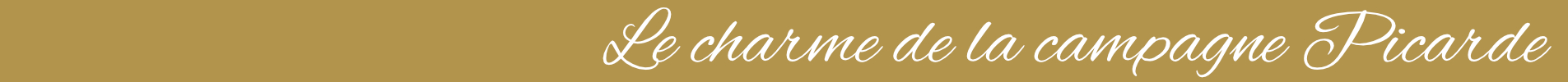 Bandeau-du-haut